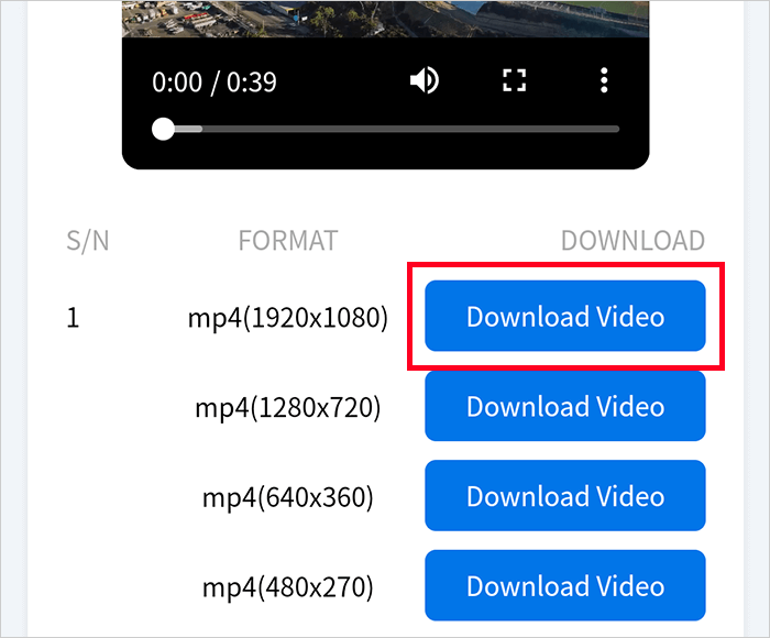 「Download Video」をタップ