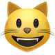 iOSの絵文字「にっこり笑顔の猫」