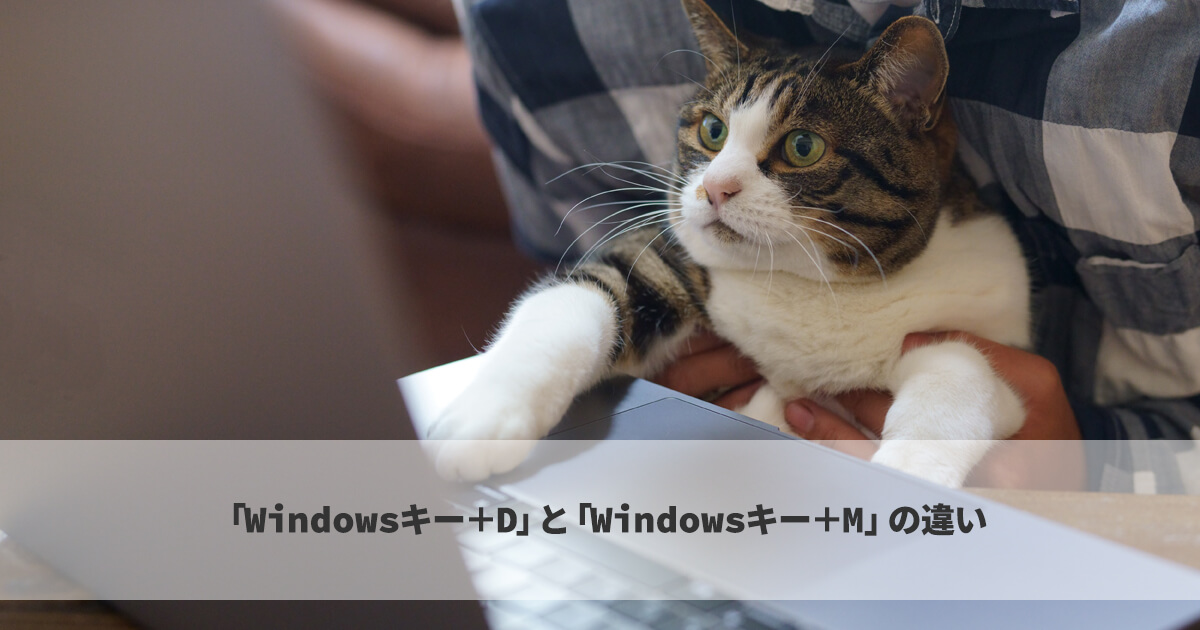 【Windows ショートカットキー】Windowsキー＋DとWindowsキー＋Mの違い